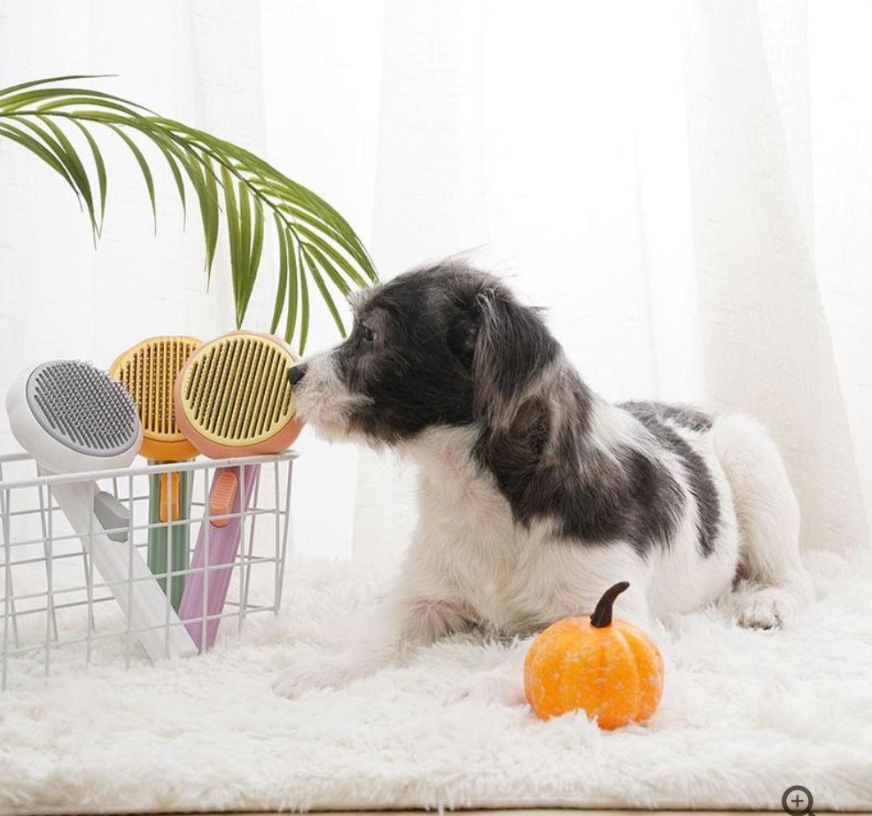 Cepillo Saca Pelusa de Mascota 🐶🐱