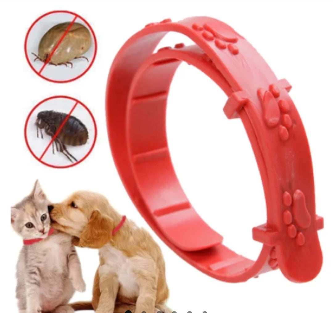 Collar Anti Pulgas para Mascota
